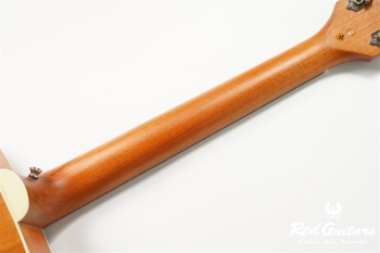 D-240E Flamed Mahogany